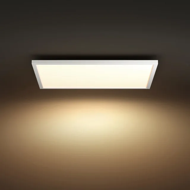 Flat Panel Light
