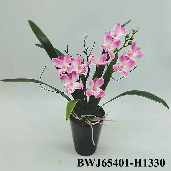 Orchid bonsai