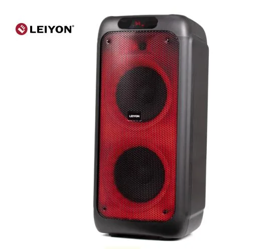 100W Double 8 inch Bluetooth Speaker D08K Flame LED Light Portable Wireless Bluetooth PA Speaker