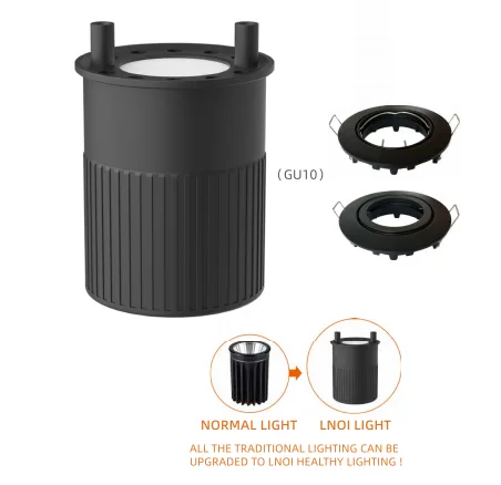 LNOI Light bulb
