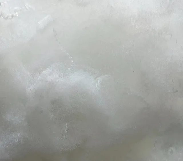 Antibacterial PSF