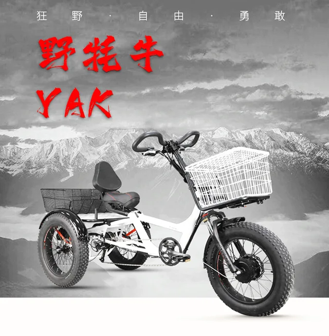 Come Race Power-assisted Tricycle