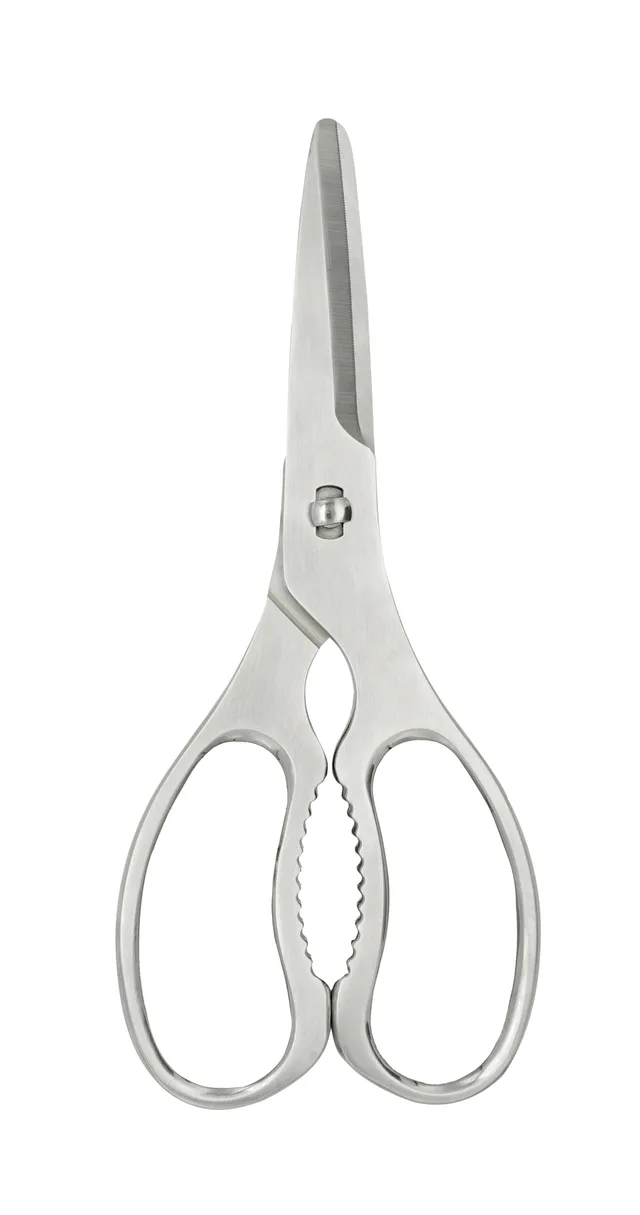 Scissors