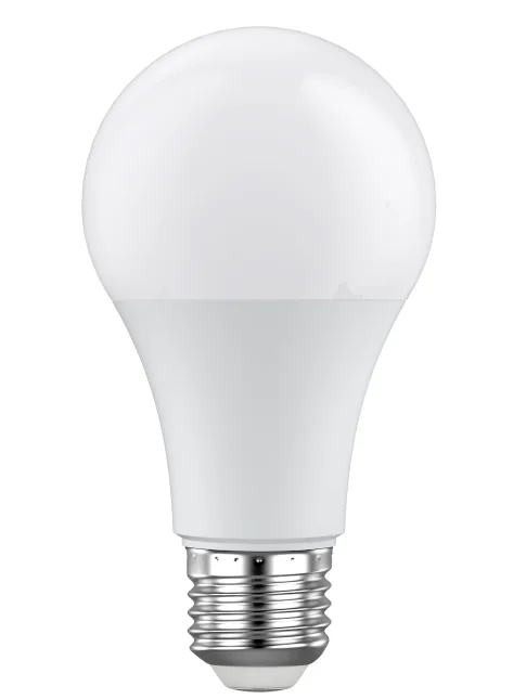 A60 LED Bulbs