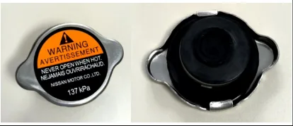 Radiator cap