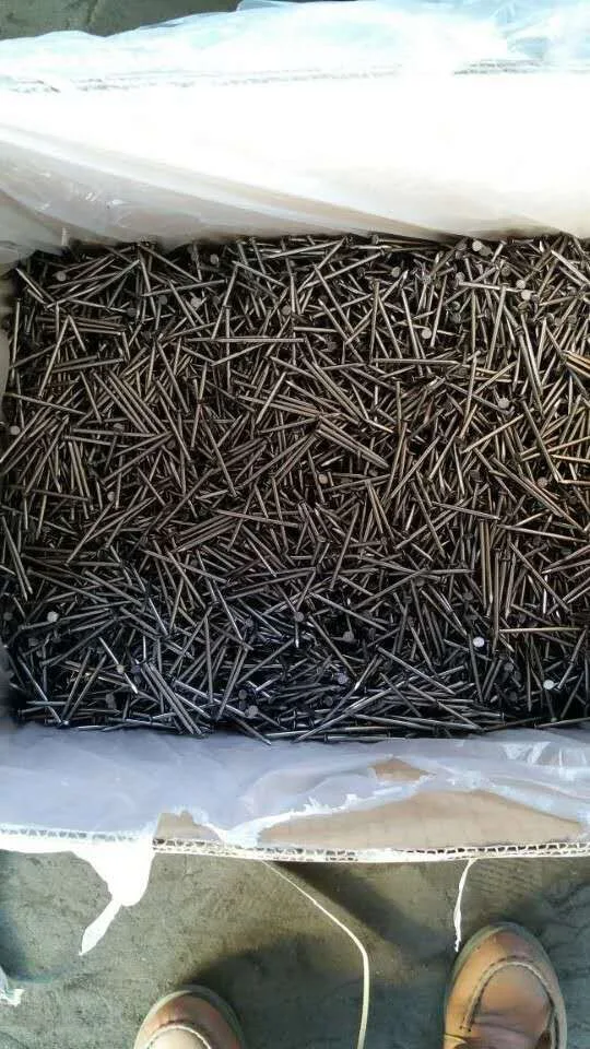 Common nail