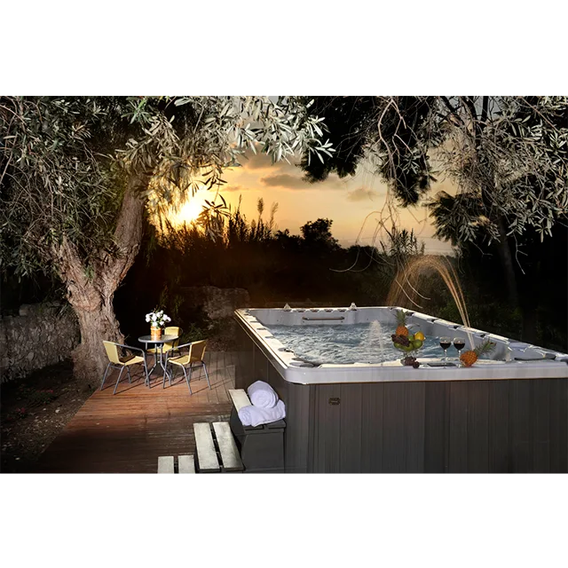 Swim spa