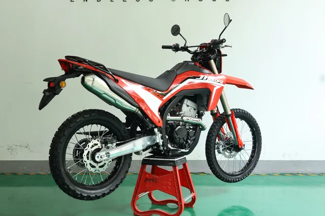 RLX300 Dual sports motorcycle