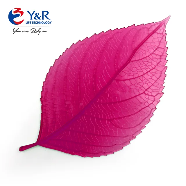 Toilet air freshener mat