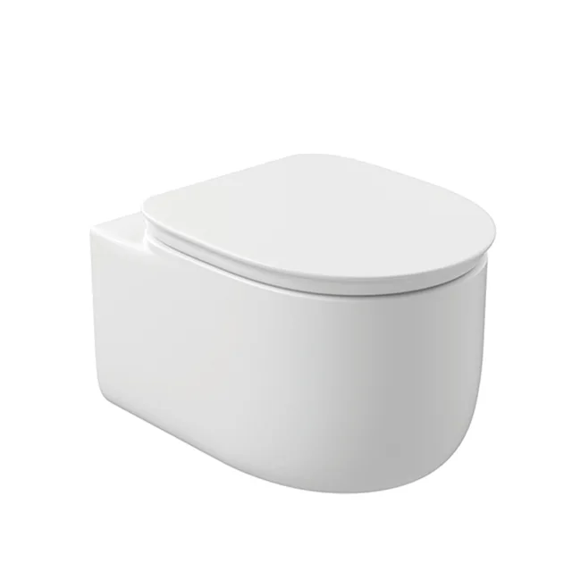 Wall-Hung Toilet
