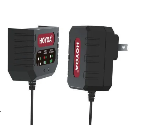 21v0.6a Charger