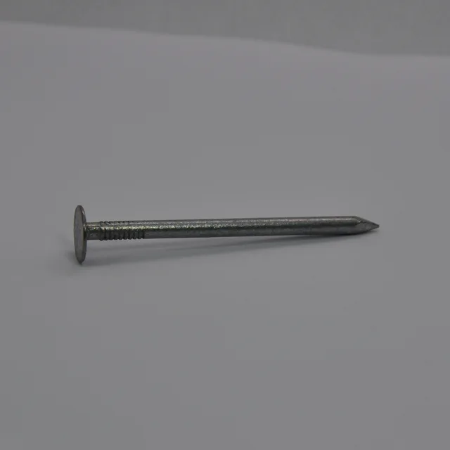 Extra Large Head Coult Nails